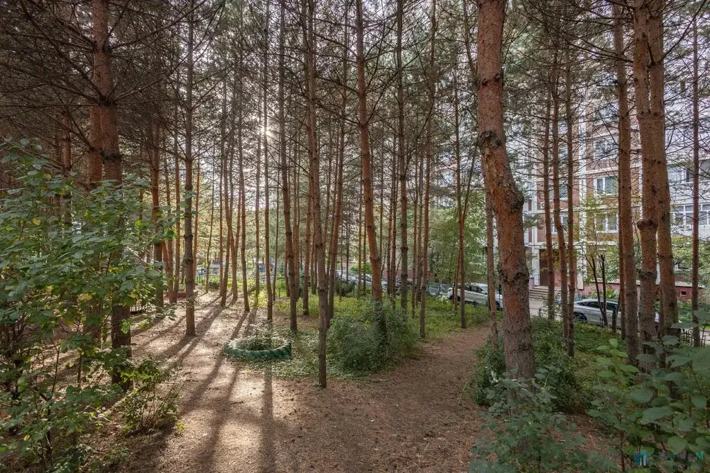 Присматриваете квартиру в районе с развитой инфраструктурой, а на ремо - Фото 19
