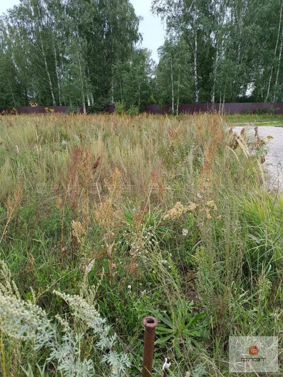 Продажа участка, Бима, Лаишевский район - Фото 2