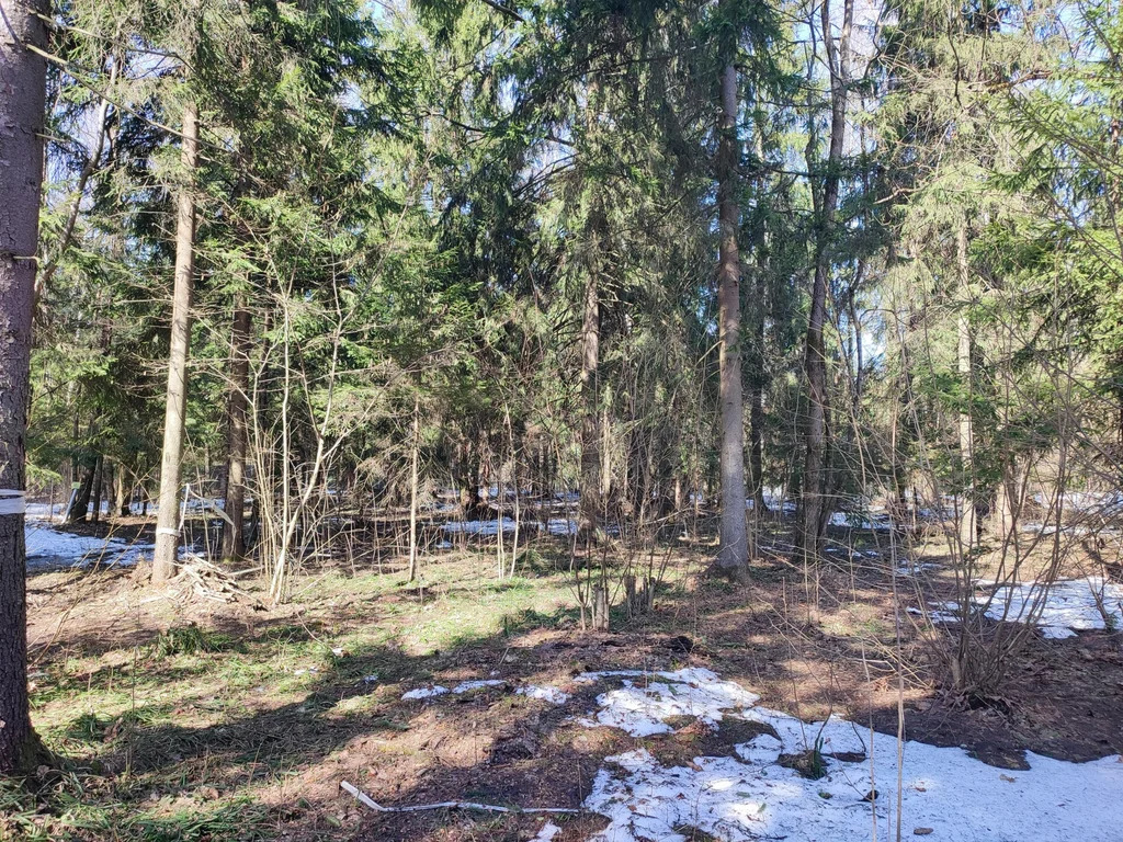 Продажа участка, НИИ Радио, Одинцовский район, Тыльная улица - Фото 9