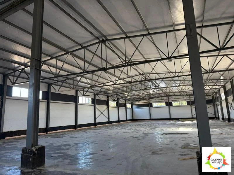 Чехов - Фото 2