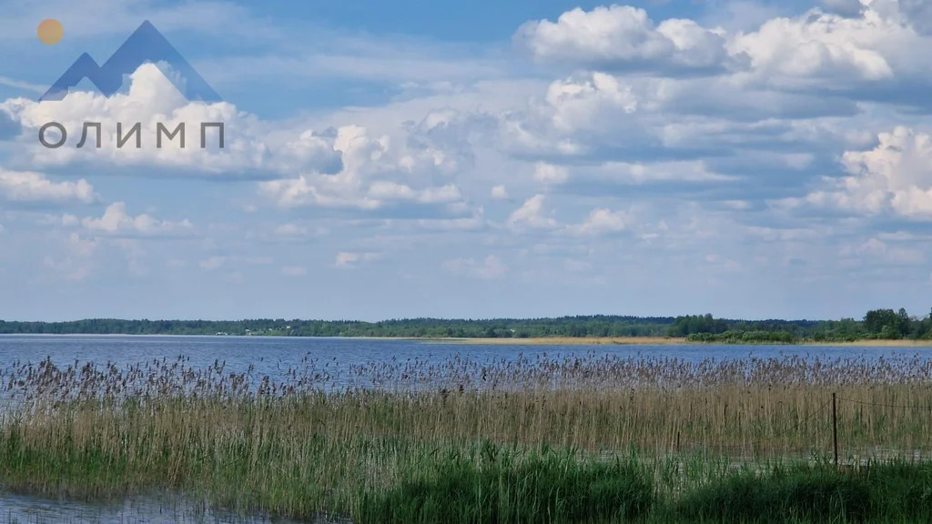 Продажа участка, Гридинская, Вожегодский район - Фото 12