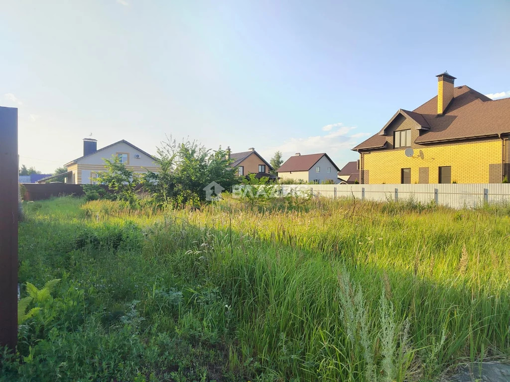 садовый тамбовская область. малиновка тамбов. хмелинка кирсановский район. 250 гектаров. земельный тамбов.