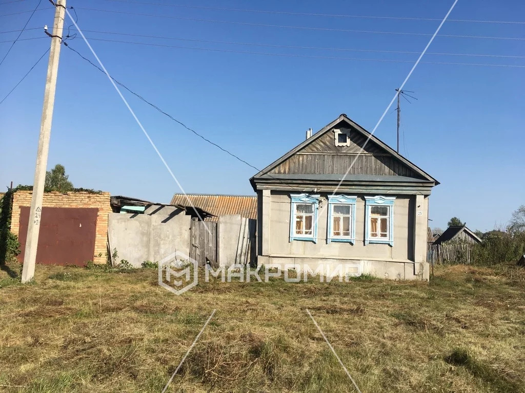 Дома в лунино пензенской области. Село Липовка Пензенская область Лунинский район. Липовка Лунинский р-он. Деревня Казачья Пелетьма. Дом в Липовке Лунинский район.