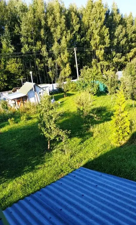 Продам дачу тульская обл. СТ №89 Вектор, дом 85 - Фото 6