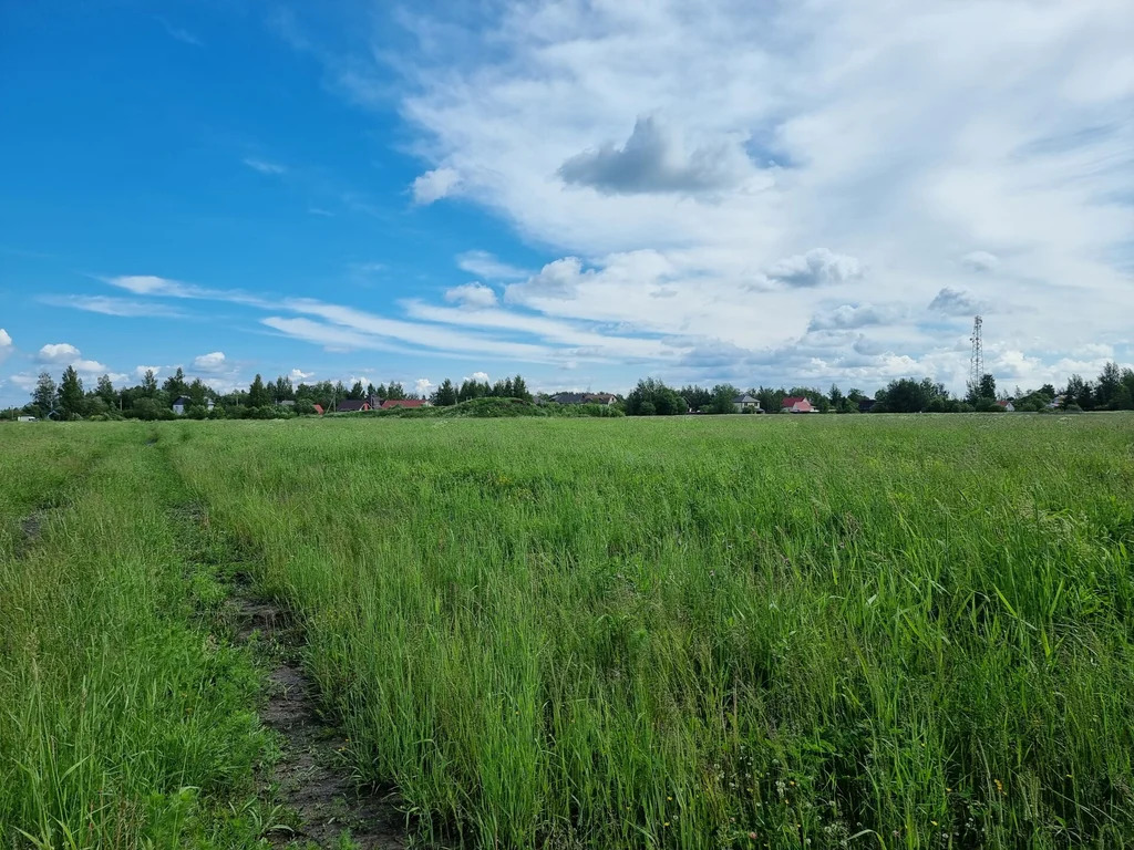 Продажа участка, Ям-Ижора, Тосненский район - Фото 10