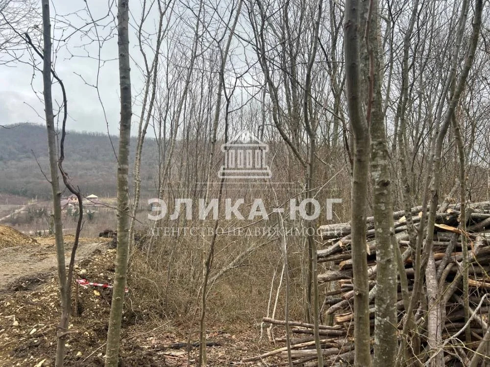 Продажа участка, Бжид, Туапсинский район, мкр. Юг - Фото 1