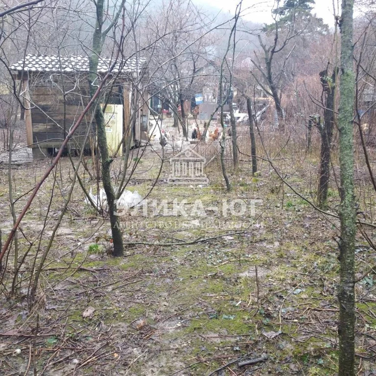 Продажа дома, Ольгинка, Туапсинский район, ул. Черноморская - Фото 8