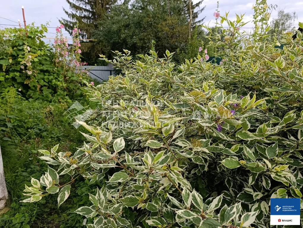 Продажа дома, Старожилово, Старожиловский район, ул. Почтовая - Фото 7