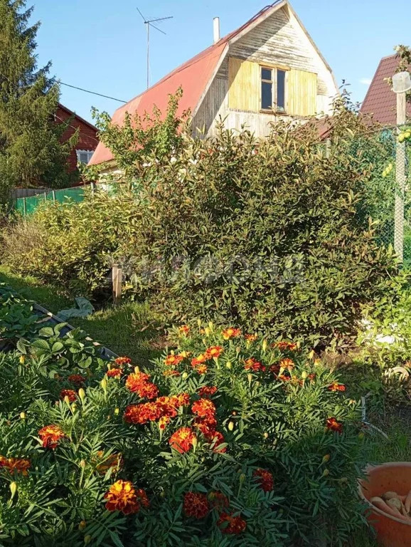 Продажа дома, Новосибирск - Фото 9
