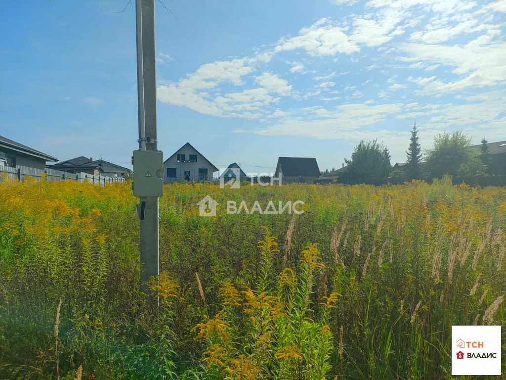 городской округ Щёлково, деревня Вторая Алексеевка, 1-я Радиальная ... - Фото 4