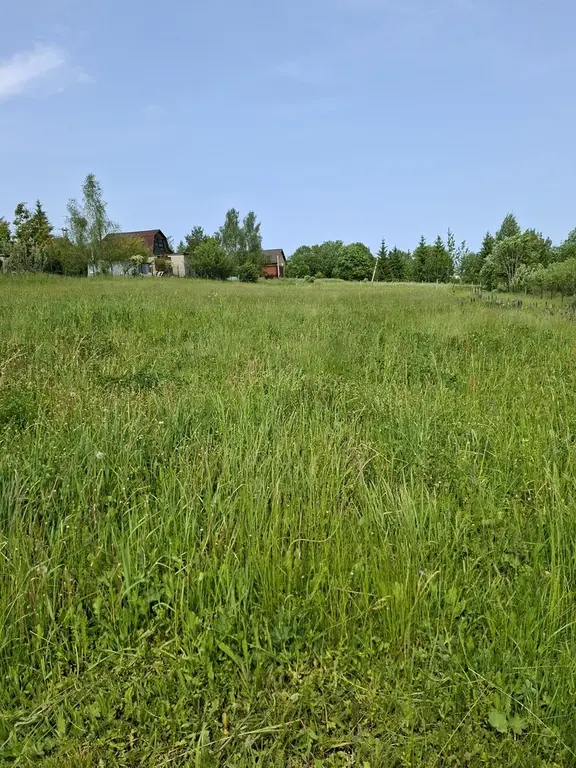 Продается дом на уч. в дерене Щелканово - Фото 3