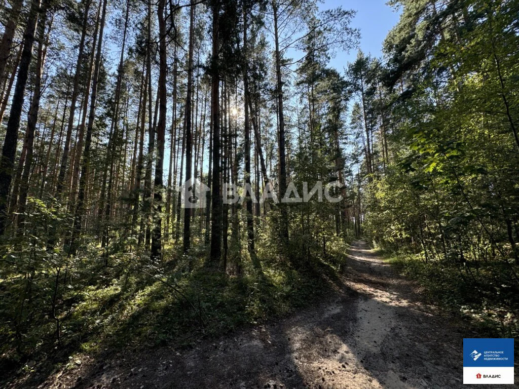 Продажа участка, Казарь, Рязанский район - Фото 3