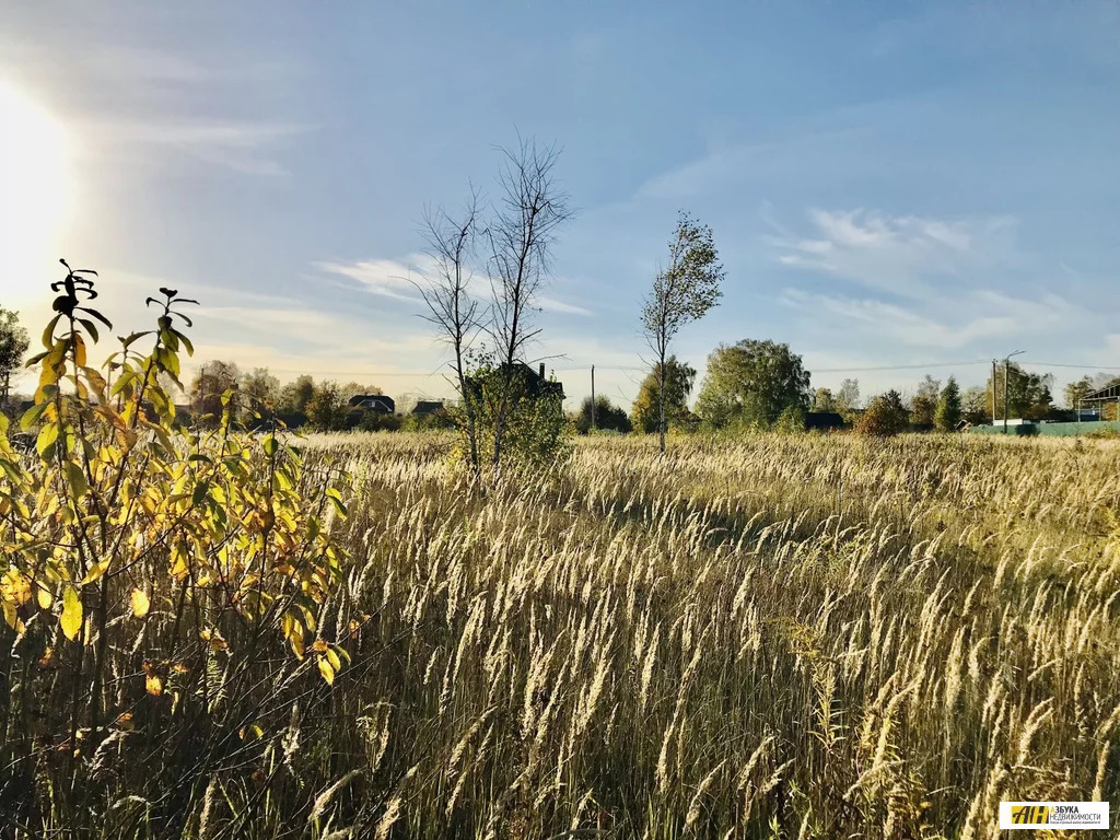 Продажа участка, Обухово, Богородский г. о. - Фото 6