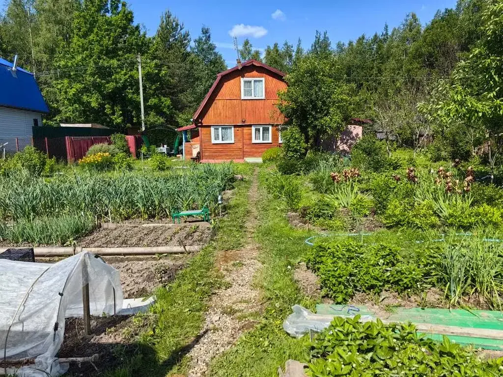 Ухоженная дача в СНТ Лесной, 4 км от г. Александров - Фото 6