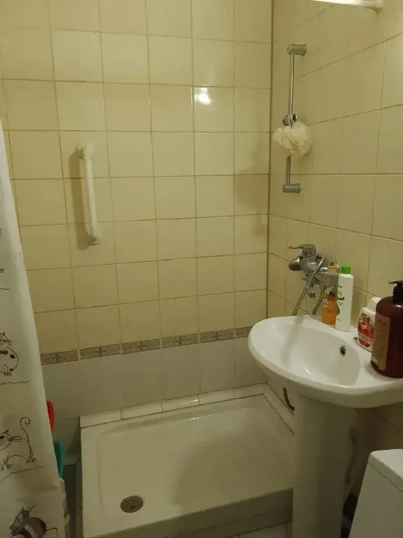 г.о. Пушкинский, п. Лесные Поляны, ул. Ленина, 1 - Фото 9