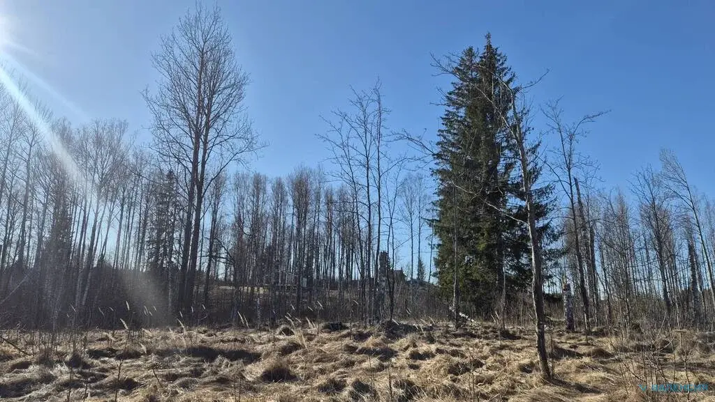 Продается ЗУ в собственности в ТСН "Вымпел" - Фото 3