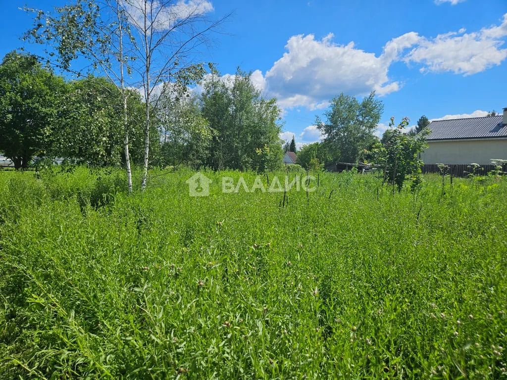 городской округ Пушкинский, село Ельдигино, микрорайон Новое ... - Фото 1