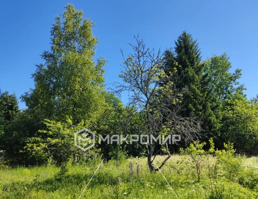 Продажа дома, Пупышево, Волховский район - Фото 9