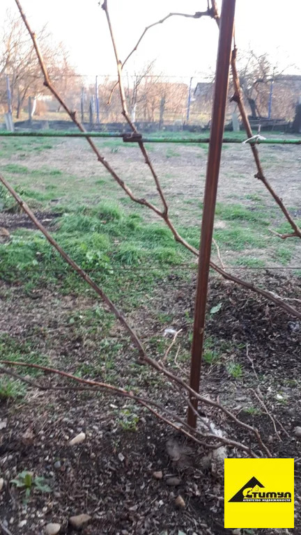 Продажа торгового помещения, Копанская, Ейский район, ул. Ветеранов ... - Фото 4