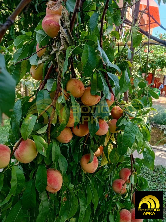 Продажа дома, Холмская, Абинский район, ул. Ленина - Фото 30