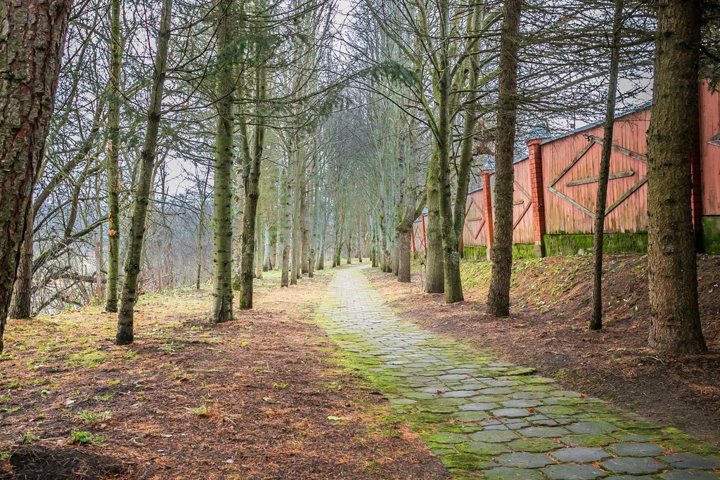 Продажа дома, Сергиево, Одинцовский район - Фото 7