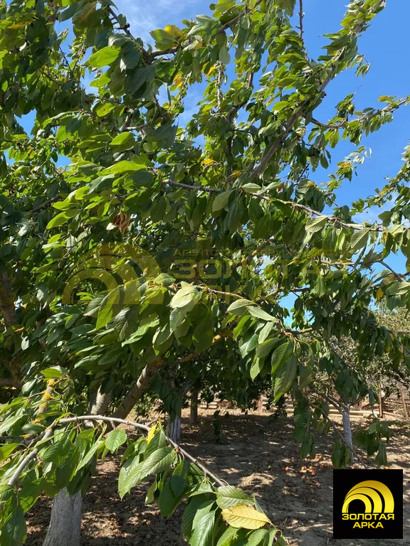 Продажа дома, Вышестеблиевская, Темрюкский район, ул. Ленина - Фото 15