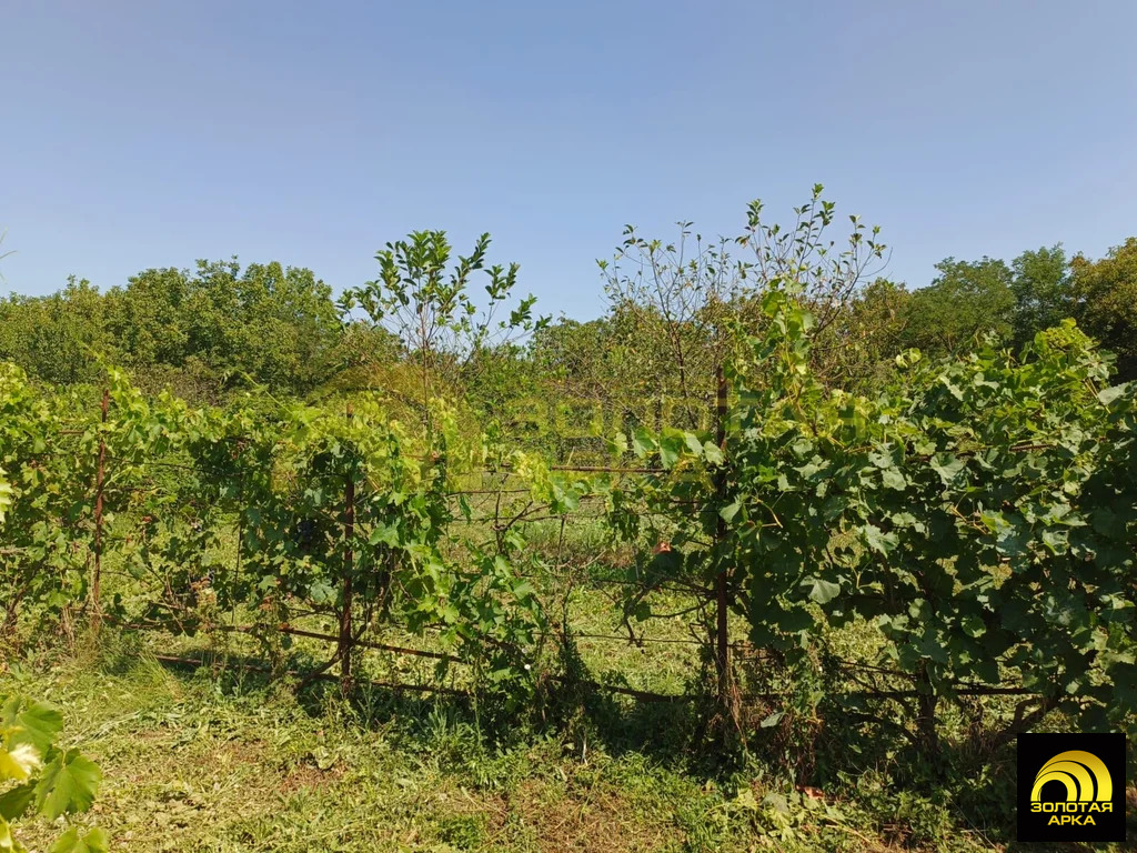 Продажа дома, Холмская, Абинский район, ул. Свердлова - Фото 14