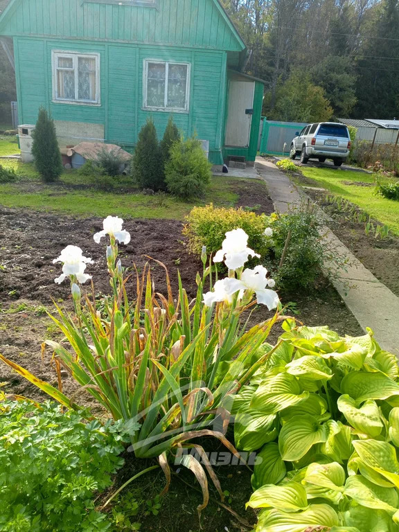 Продажа дома, Наро-Фоминский район, садовое товарищество Здоровье тер. - Фото 7