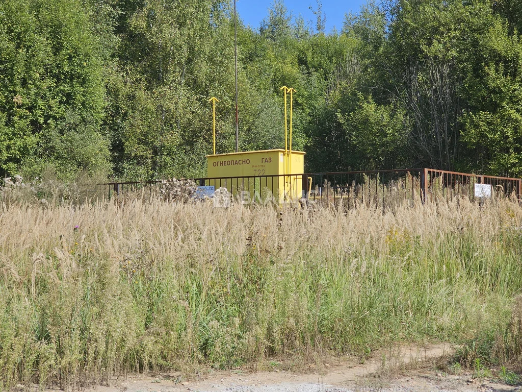 городской округ Мытищи, деревня Пчёлка,  земля на продажу - Фото 8