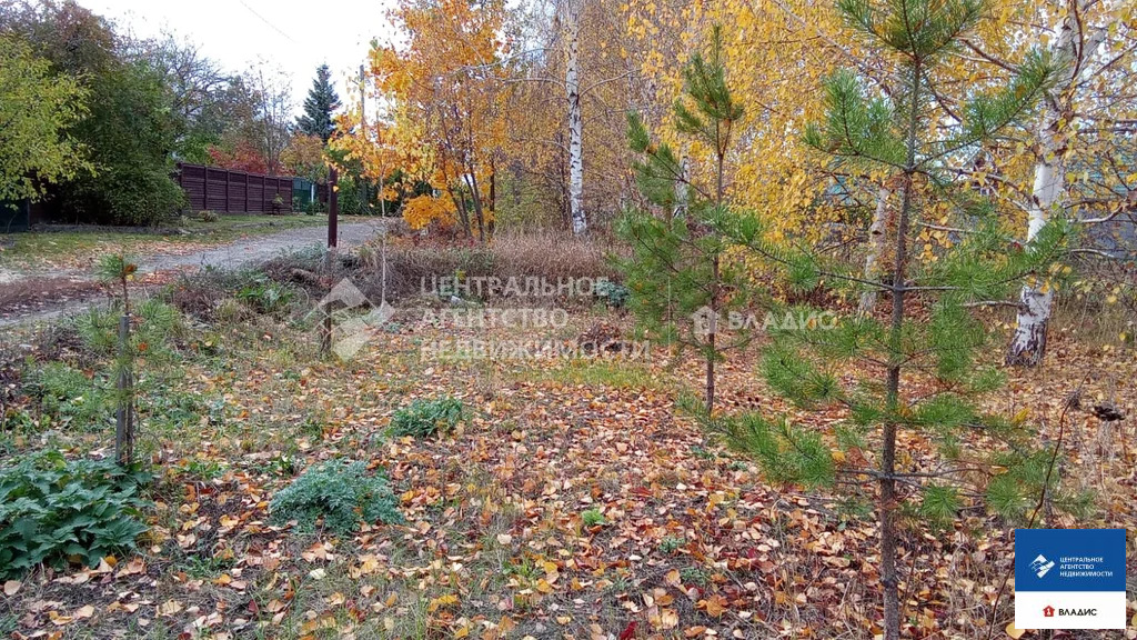 Продажа участка, Тюшево, Рязанский район - Фото 14