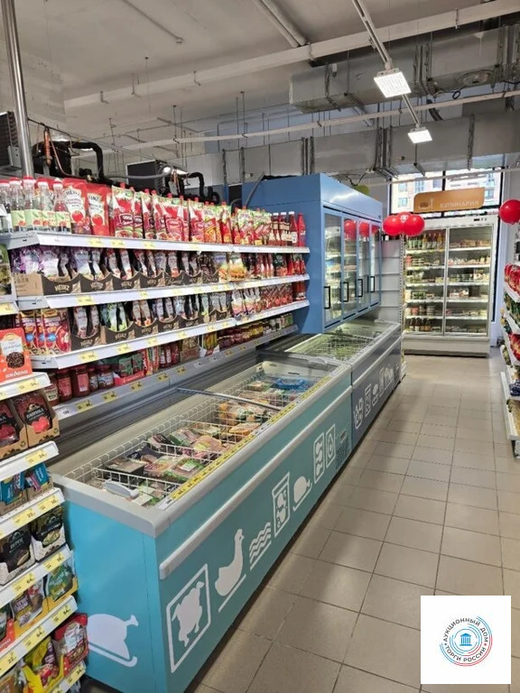 Помещение свободного назначения, 482.9 м - Фото 2