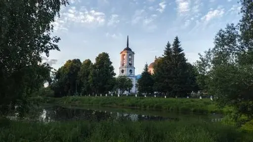 Дача 100 м на участке 14,6 сот. - Фото 14