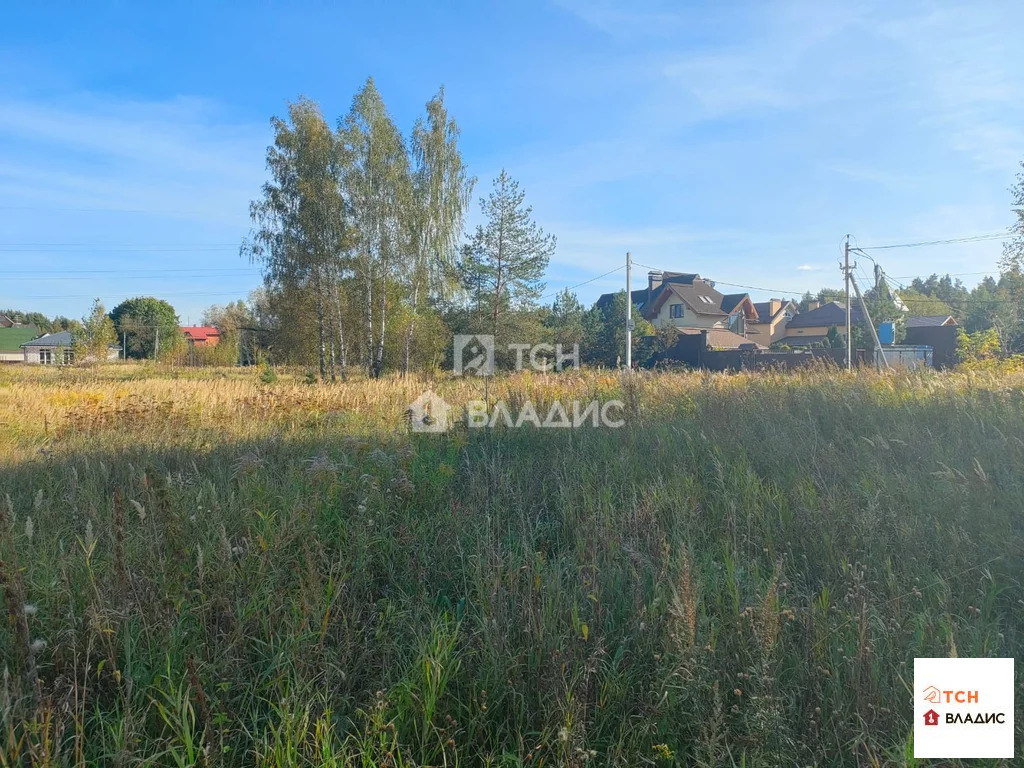 Богородский городской округ, Ногинск, Ново-Богородская улица,  земля ... - Фото 2