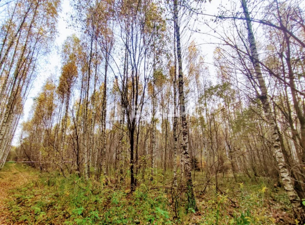 городской округ Владимир, Владимир,  земля на продажу - Фото 6