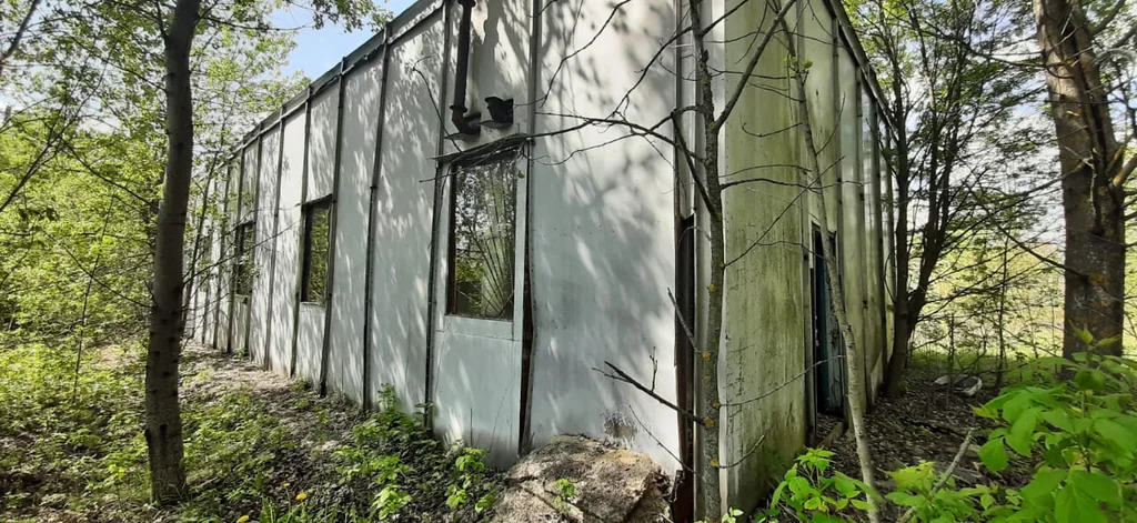 Продается ПСН 1062 м2 с ЗУ 0,52 Га - Фото 2