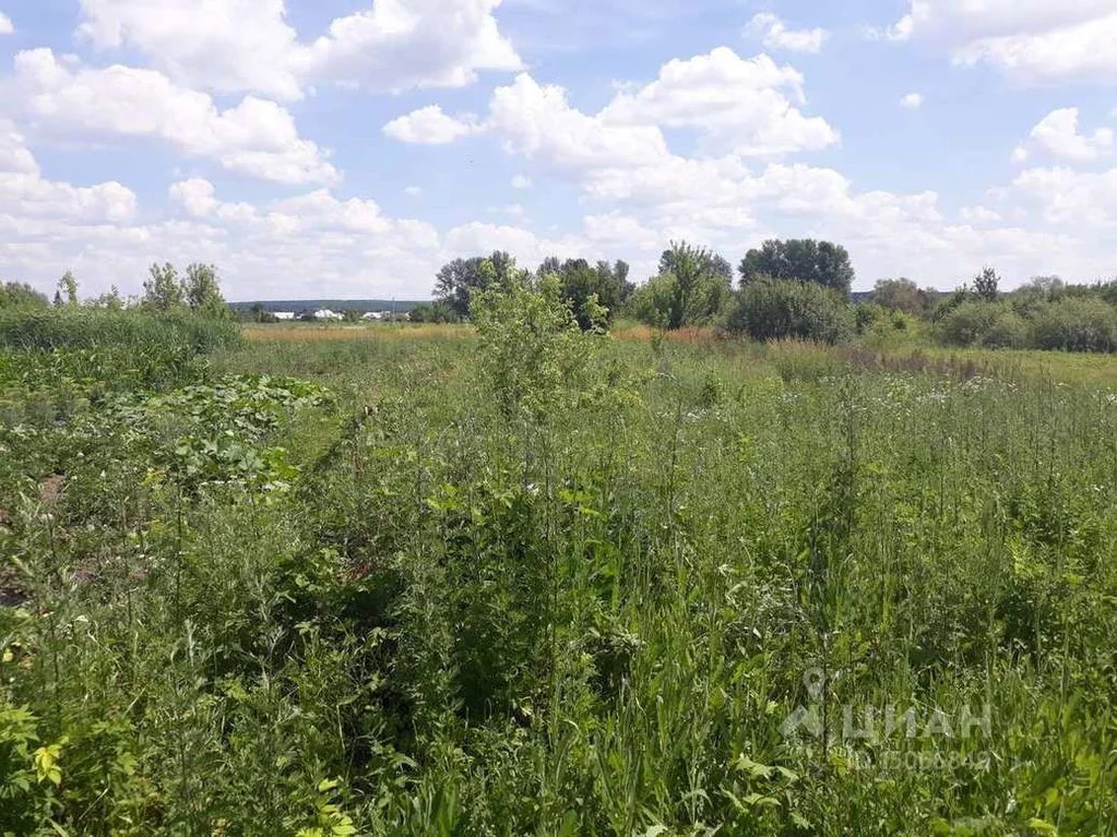 Погода ченцовы дворы. Крапивное Белгородская область Шебекинский район. Село Крапивное Шебекинский район. Крапивное Шебекино.