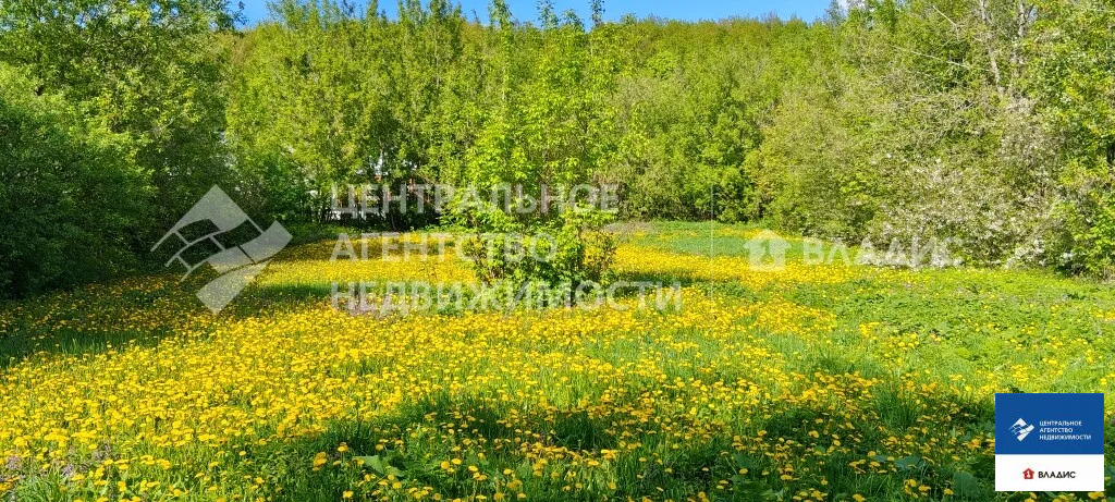 Продажа участка, Семено-Оленинское, Рязанский район, ул. Лесная - Фото 2