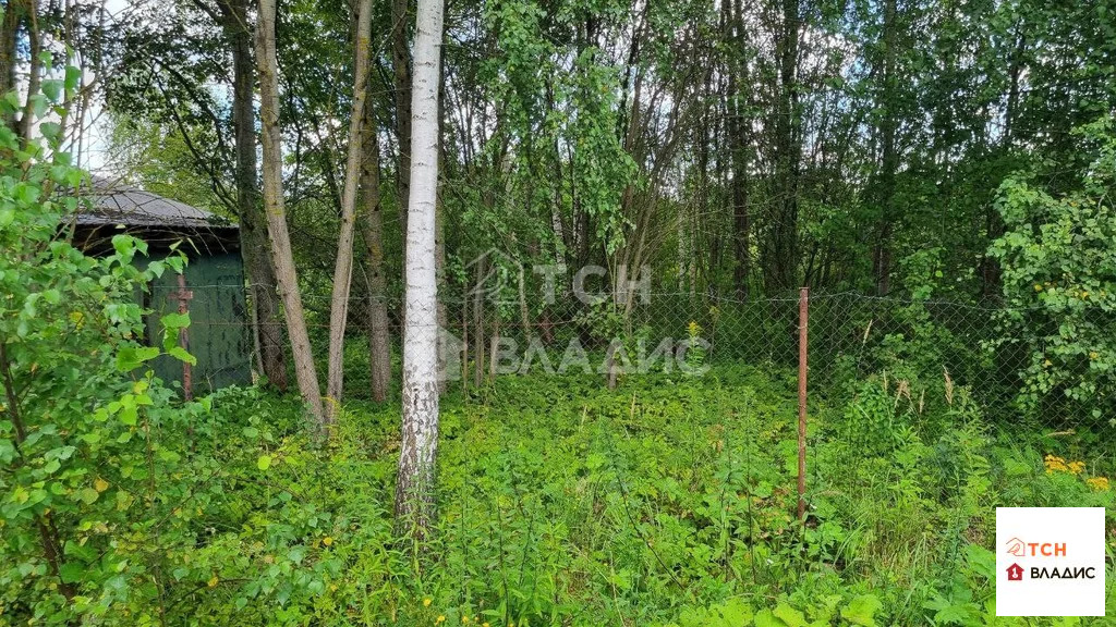 Продажа участка, Лесные Поляны, Пушкинский район - Фото 9