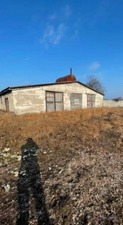 Продажа производственного помещения, Николаевка, Партизанский район, ... - Фото 6