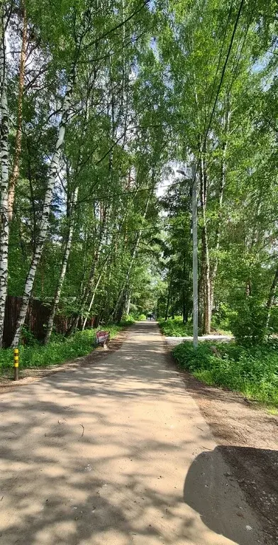 Отличный земельный участок в окружении сосен! - Фото 0