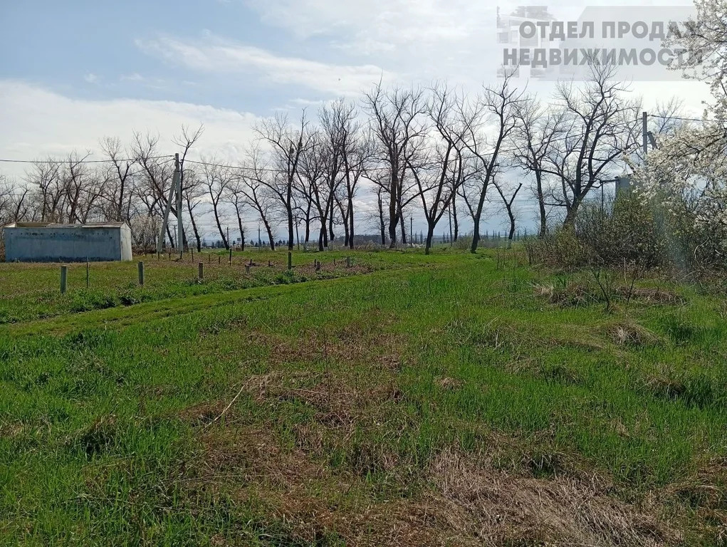 Участок на Озерках - Фото 5