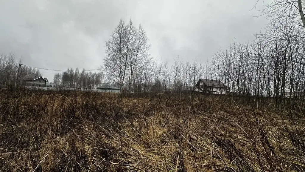 Раменский р-н ДНП "Зеленая Опушка-2" - Фото 8