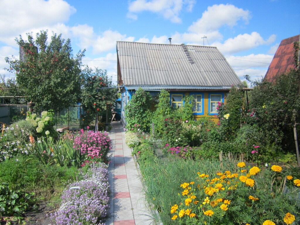 Фото курган вороновка