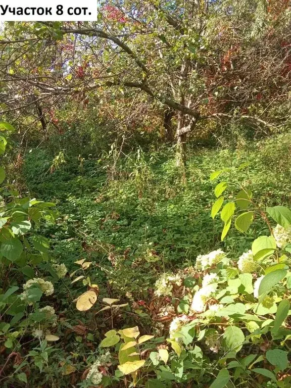 Продаю дом 99.5м Московская область, Мытищи городской округ, ... - Фото 10