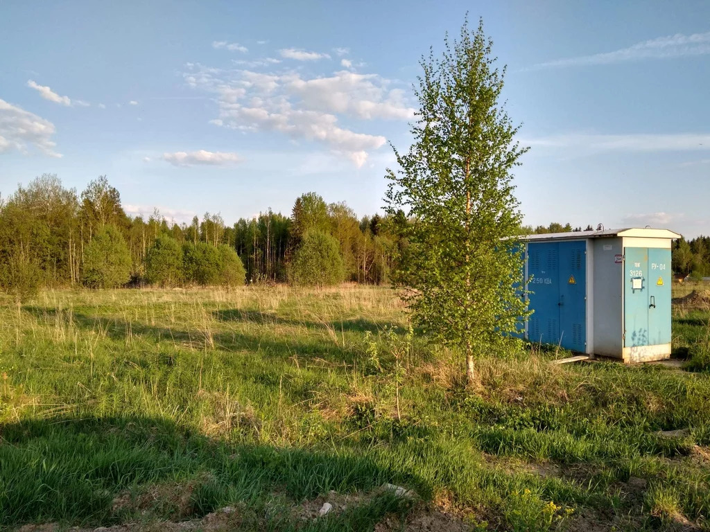 Водохранилище Кингисеппский район.