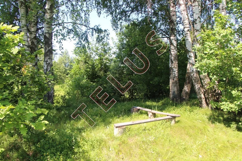 МО, Богородский г.о., с. Богослово, Земельный участок 7 га (ном. ... - Фото 19