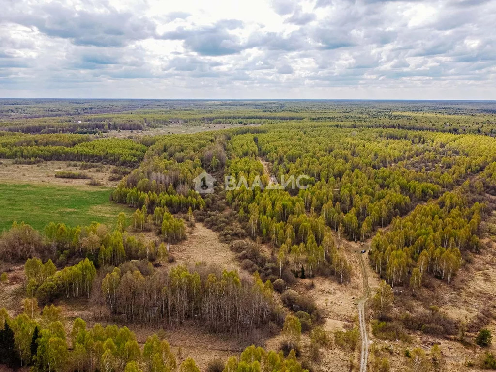 Судогодский район, деревня Кощеево, земля на продажу - Фото 3