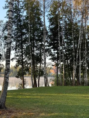 Продам участок 9,83 соток, Иваново подворье, Озерная ул, Ивановское... - Фото 4