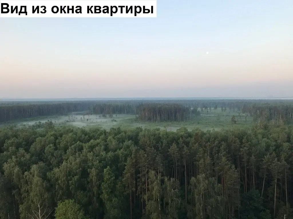 Продажа однокомнатной квартиры 41.8м Пионерская ул., 30к12, Королев, ... - Фото 28