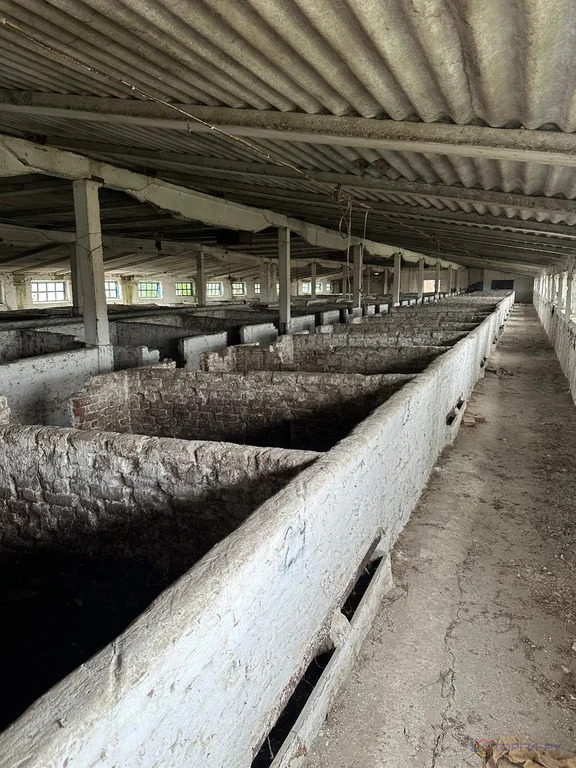 Продажа производственного помещения, Раздольное, Новоалександровский ... - Фото 6